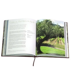Custom book magazine catalog booklet printing